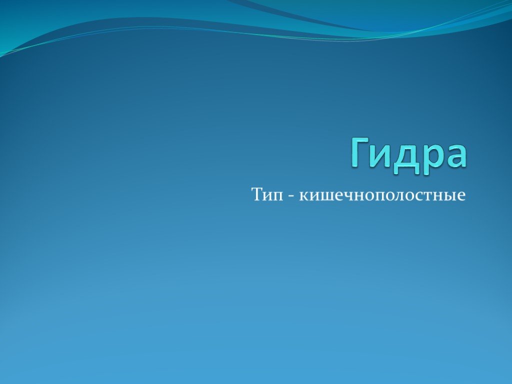 Ссылка на кракен маркет
