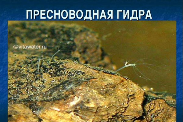 Ссылка на кракен krawebes