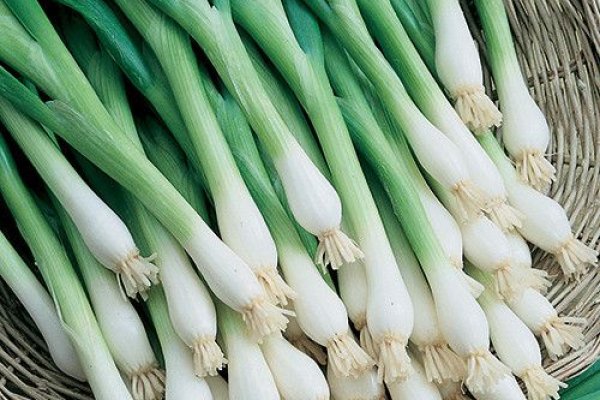 Короткая ссылка на кракен