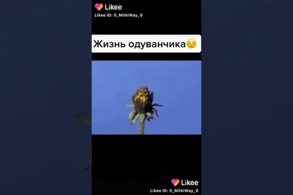 Кракен зеркало москва