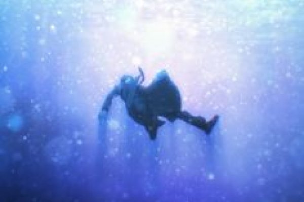Kraken at зеркало