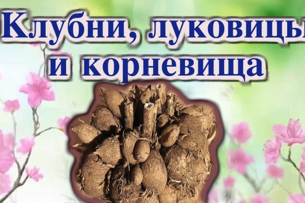 Кракен даркнет только через тор