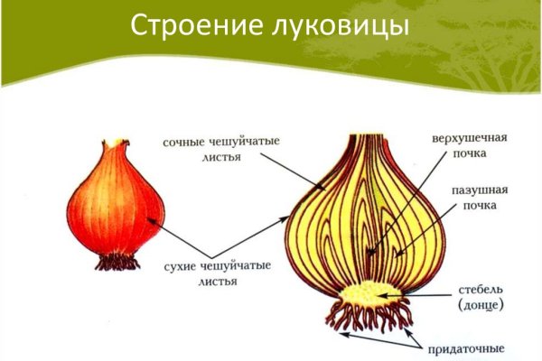 Кракен маркетплейс реклама текст