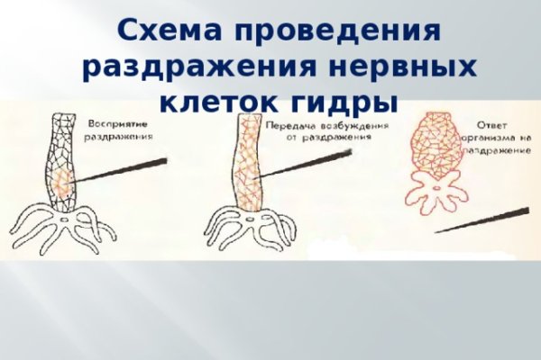 Кракен ссылка 2web