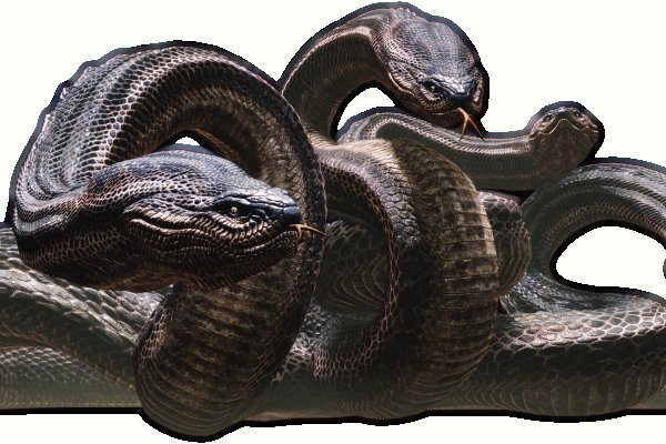 Kraken17 at сайт