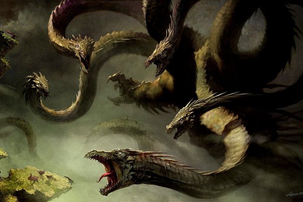 Kraken 24at