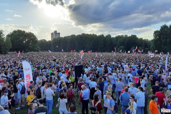 Через какой браузер можно зайти на кракен