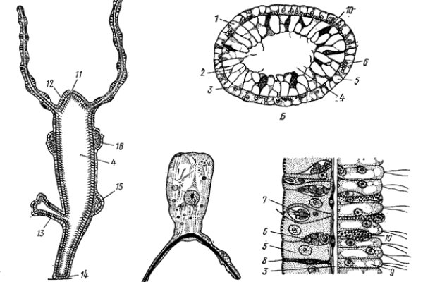 Kraken 2025 ссылка