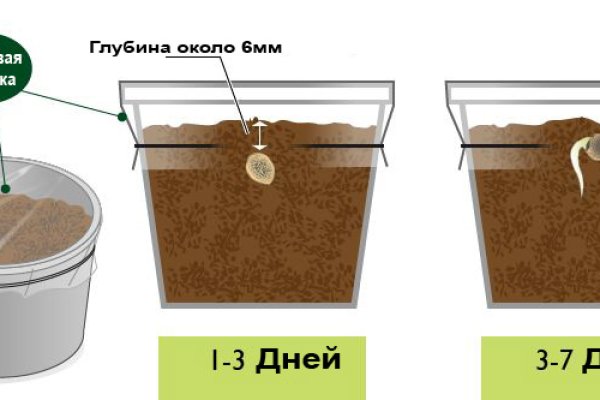 Ссылка на кракен тг