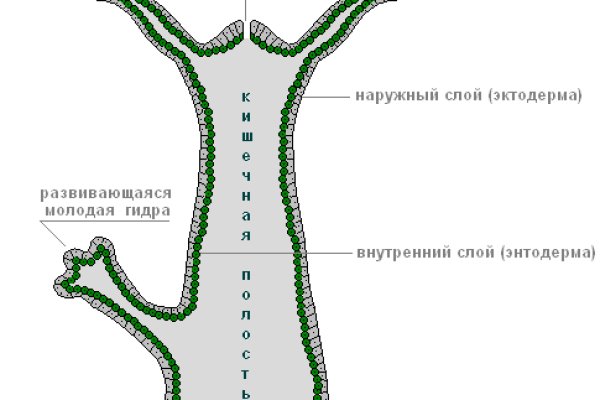 Заказать даркнет