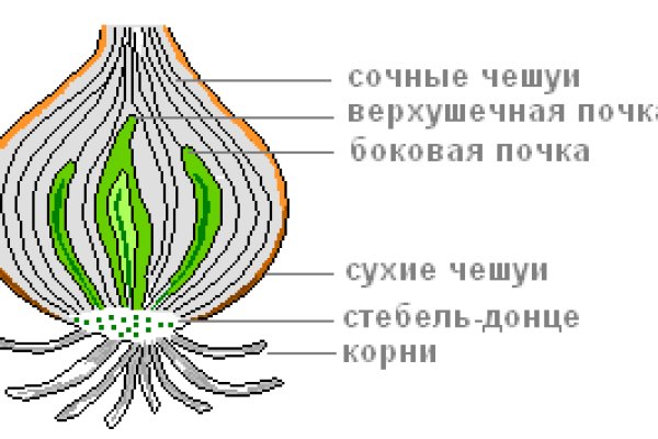 Кракен 20 at